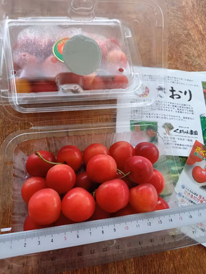 みんなの投稿の画像