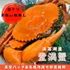 【浜名湖産】訳あり堂満蟹(ドウマンガニ茹で)片腕か腕無し1杯
