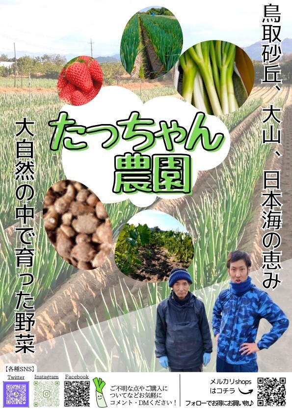 採れたて　赤らっきょう　5kg （箱込）農家直送 らっきょう商品一覧 | 無添加・無農薬の食品ネット通販 - たべる