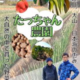 安藤達夫 | 安藤青果