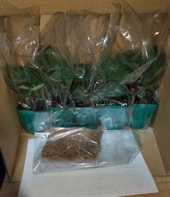 みんなの投稿の画像