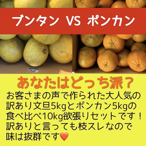 訳あり文旦&ポンカンセット　10kg