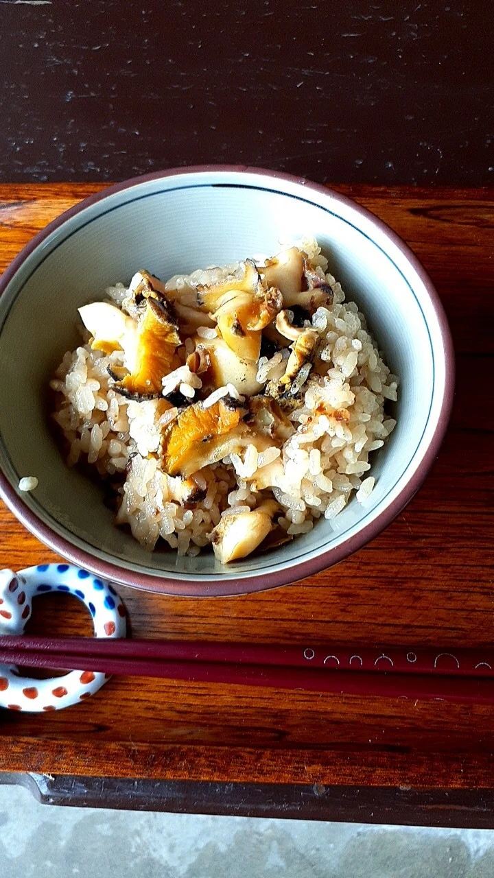 天然サザエ・1kg 素潜り漁  新鮮増量サービス中！