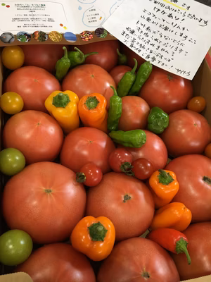 みんなの投稿の画像