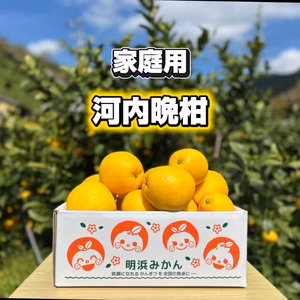 天晴晩柑　ご家庭用