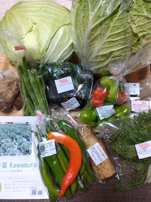 みんなの投稿の画像