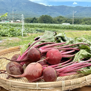 信州産｜真っ赤なビーツ