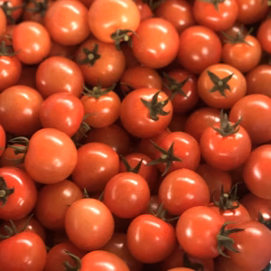 訳ありミニトマト2kg