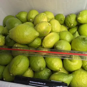 今もぎたてグリーンレモン今日は3.7kg特別価格セット希望は先に注文特記事項に