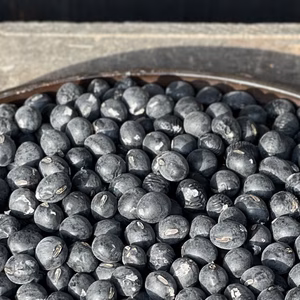 〈訳あり〉黒豆煮の練習用に！2025年産 丹波篠山黒大豆 B級/レシピ付き