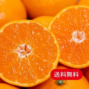 【送料無料!!】超絶人気の夕やけみかん（５㎏）