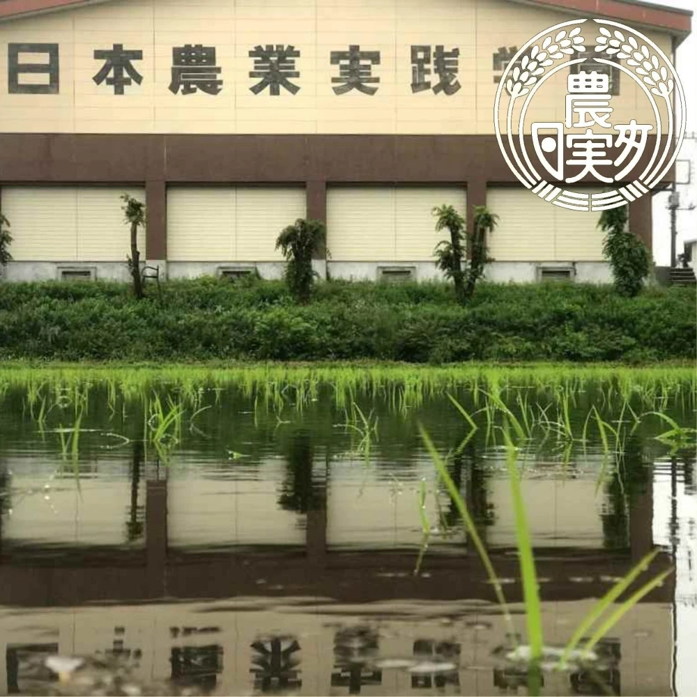 学生と作ったコシヒカリ（白米と玄米）　定期購入月イチ