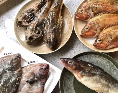 みんなの投稿の画像