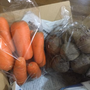 八ヶ岳高原の小玉ビーツ1kgと訳あり人参1kgセット（農薬・化学肥料不使用）