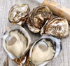 シングルシード真牡蠣　殻付き生食用　30g〜60g