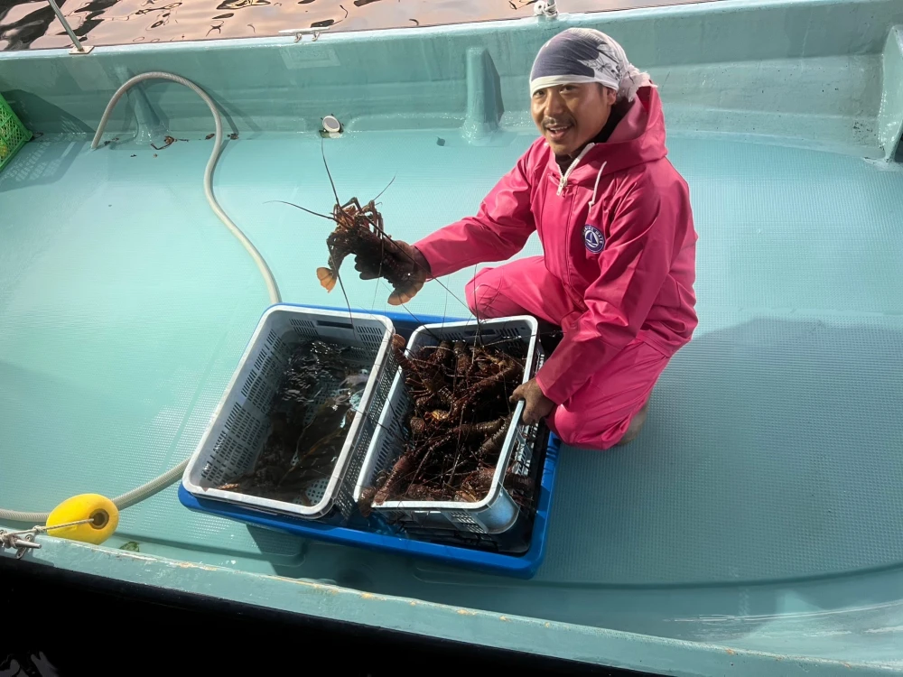 天然物 漁師直送！！ 伊勢海老１キロ詰め合わせ｜魚介類の商品詳細