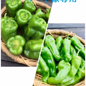 マーヤ様専用(ピーマン・ししぴーセット)