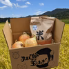 淡路島玉ねぎとお米セット（限定10）