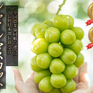 先行予約【国内大手百貨店取扱農園】☆秀品☆シャインマスカット☆