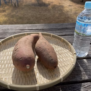 自然栽培の紅はるか【1k】【1.8k】いかがですか？【料理用の大サイズ】