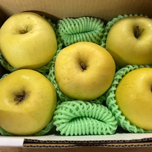 20箱限り‼️味良し！香り良し！もりのかがやき　