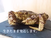 シーズン到来！！［生きたまま発送］1月発送　活トゲクリガニ　オス2kg