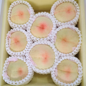 数量限定即発送！なつごころ　贈答用中箱