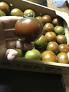 スペインブラウントマト4キロ