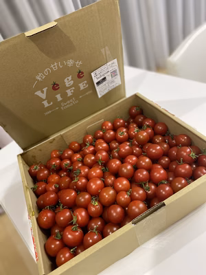 みんなの投稿の画像