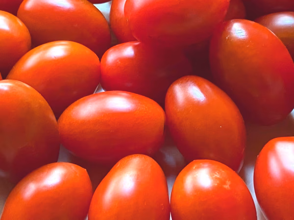 清流で育てたアイコとイタリアントマトのシシリアンルージュ