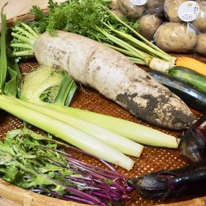 【レシピ付】加賀の大地で育った旬の野菜直送BOX（6~8品目）