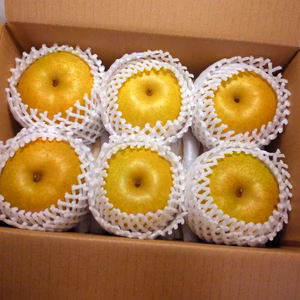 甘い果汁たっぷり！幸水梨、上物大玉６個入朝どれ当日出荷！金沢市ブランド認証農作物