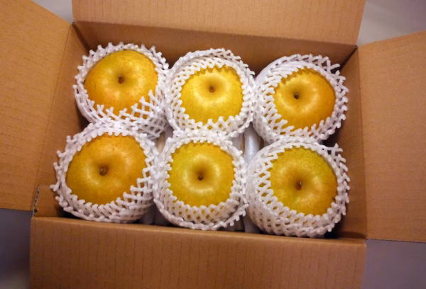 甘い果汁たっぷり！幸水梨、上物大玉６個入朝どれ当日出荷！金沢市ブランド認証農作物