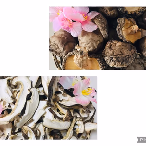 天然原木栽培　スライス干し椎茸80g  香菇香信ミックス80g 