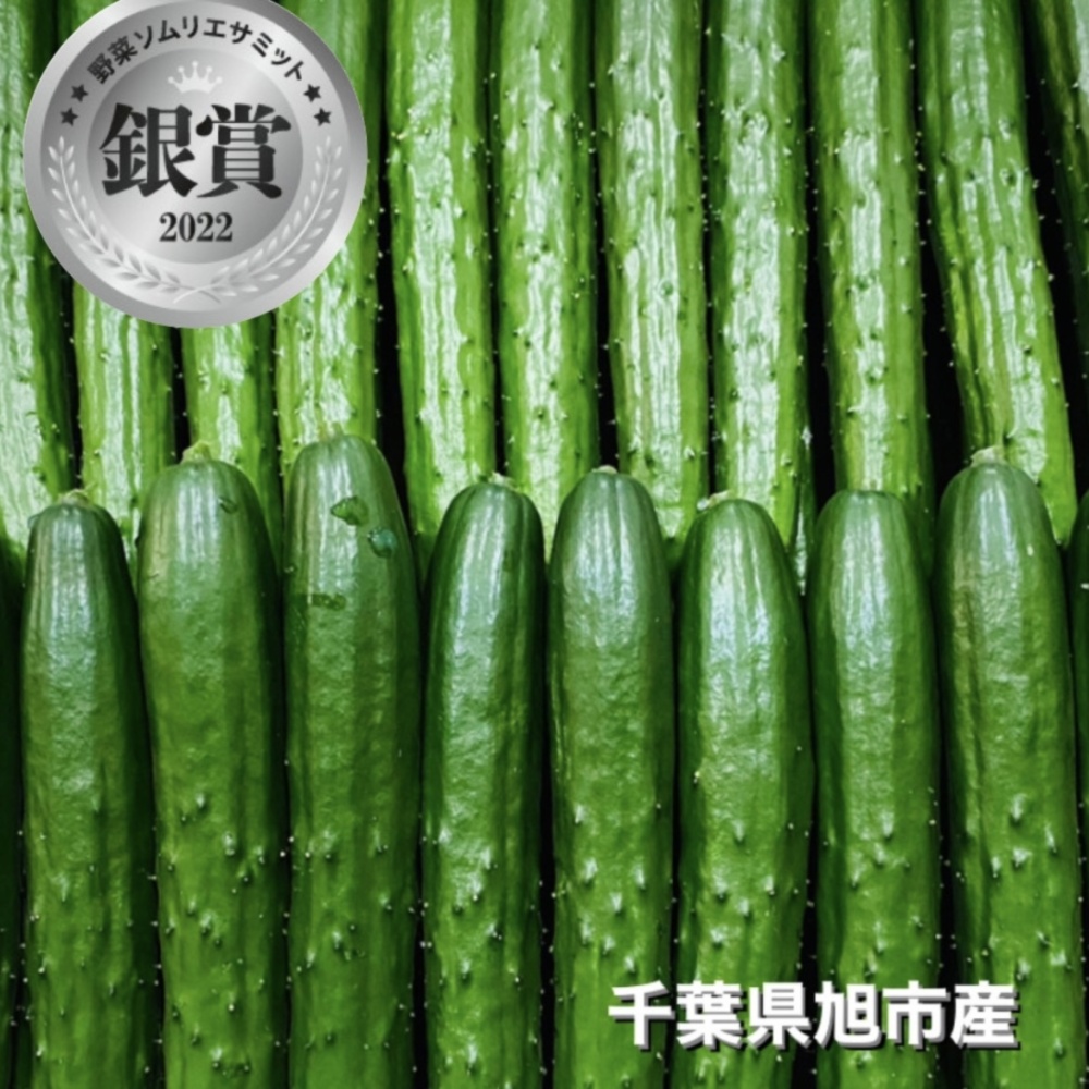 新鮮なきゅうり いろんなサイズ 併せて10kg 楽天市場】キュウリ（野菜・きのこ｜食品）の通販