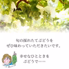 【定期便】あさつゆぶどうの贈り物