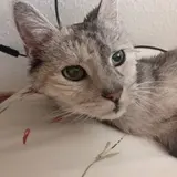 ハキハキ