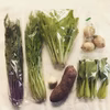 金曜日お届け　農薬不使用野菜セットSサイズ（6～7品）※税込