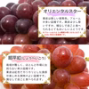 【送料無料】訳あり・規格外品 シャインマスカットと品種お任せぶどう詰合せセット