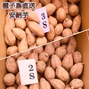 【絶品】種子島産 安納芋 3S&2S 混合サイズ｜aimo農園