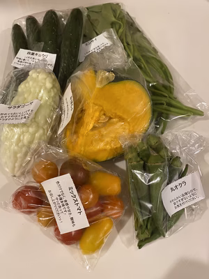 みんなの投稿の画像