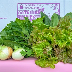 旬野菜詰め合わせ　減農薬・米ぬか有機肥料使用