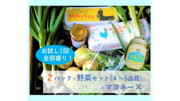 油菜ちゃんマヨ+ミルキーエッグ+おまかせ野菜セット