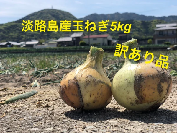 激甘‼️淡路島産玉ねぎ 新玉 5kg 訳あり品