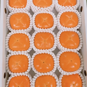 ⭐︎《送料割引》池上農園の手包み紀の川柿プレミアム