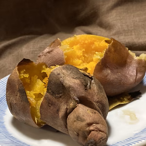 EM自然農法 有機栽培 JAS認証 サツマイモ 安納芋 訳あり 1kg、5kg