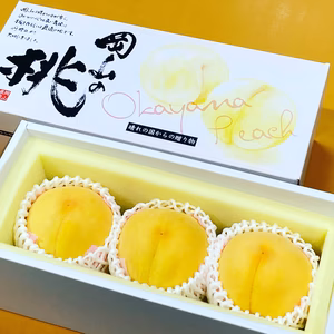 岡山の桃　ゴールデンピーチ　贈答用　大玉3玉