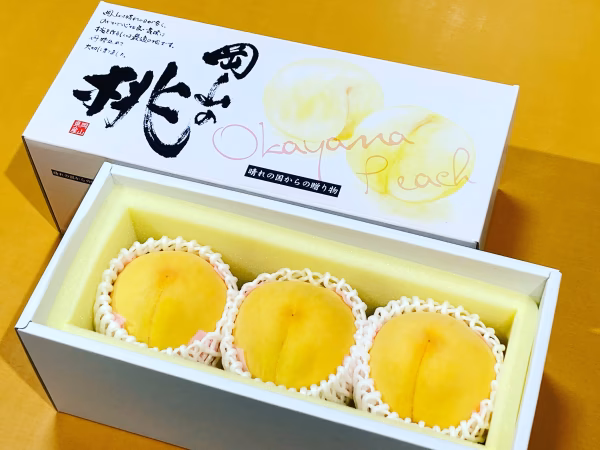 岡山の桃　ゴールデンピーチ　贈答用　大玉3玉
