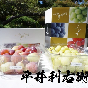 平井利右衛門の赤青ぶどうセット(バイオレットキング、シャイン/粒1.5kg)