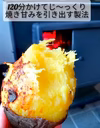 【5/31で終了！10%増量】冷やし焼き芋★熟成シルクスイート